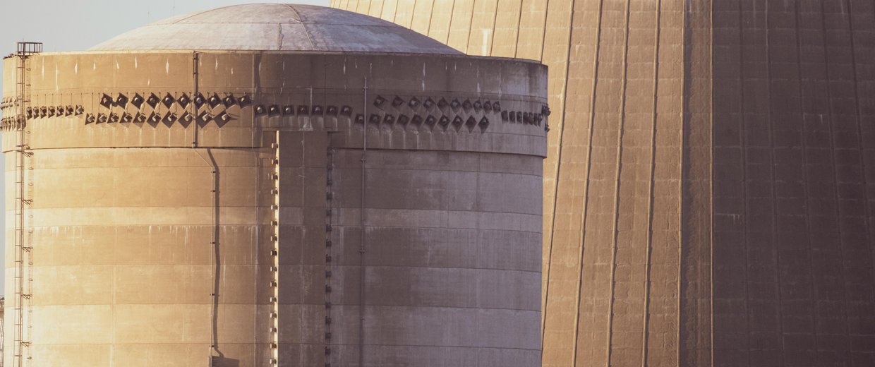 Nuclear facility